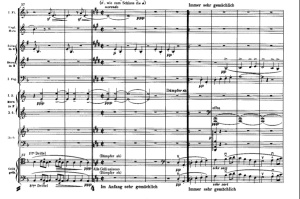 Mahler symph 1